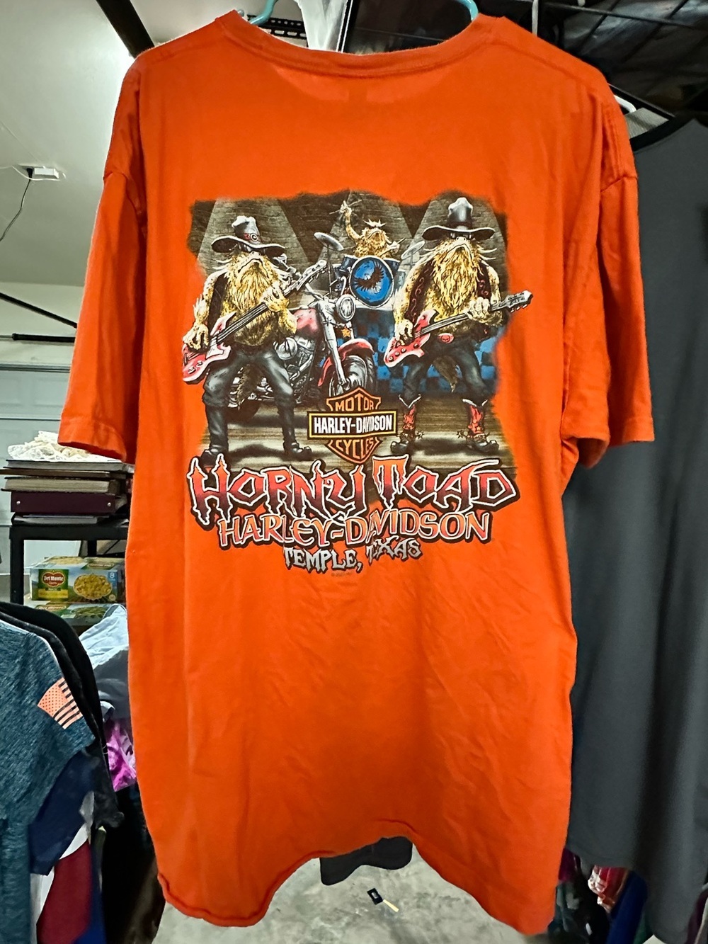 Harley-Davidson Horny Toad Temple Texas Graphic T-Shirt Orange